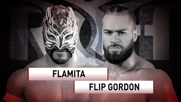 roh495